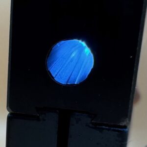 Hämmerli Model 215, kal. .22lr. Venstre & højrehåndsskæfte fra Karl Nill