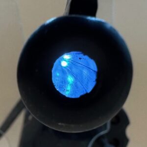 Colt Official Police, kal. 22 lr. 6" løb